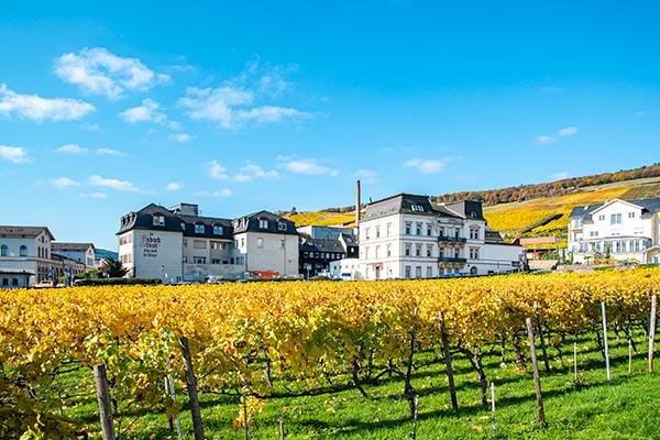 Die ehemalige Asbach Uralt Produktionssttte in Rdesheim am Rhein