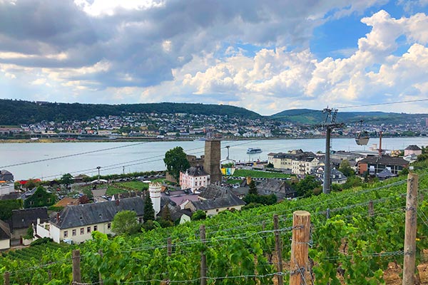 Blick von den Weinbergen auf den Rhein in Rdesheim am Rhein