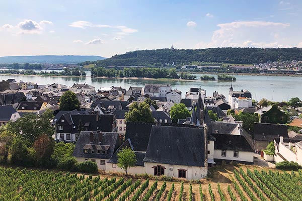 Blick von den Weinbergen auf den Rhein in Rüdesheim am Rhein