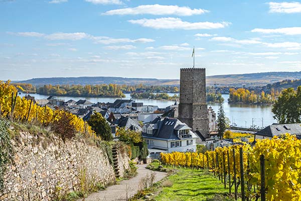 Blick zum Weingut Carl Jung und dem Rhein in Rüdesheim am Rhein