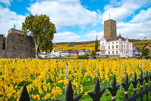 Blick zur Brmserburg und zum Weingut Carl Jung und dem Rhein in Rdesheim am Rhein