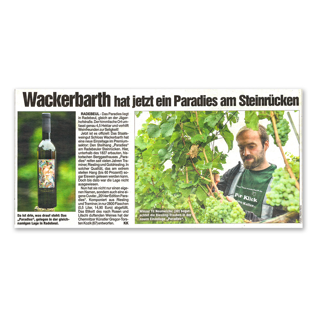 GERMENS artfashion - Morgenpost Chemnitz - 29.08.2015