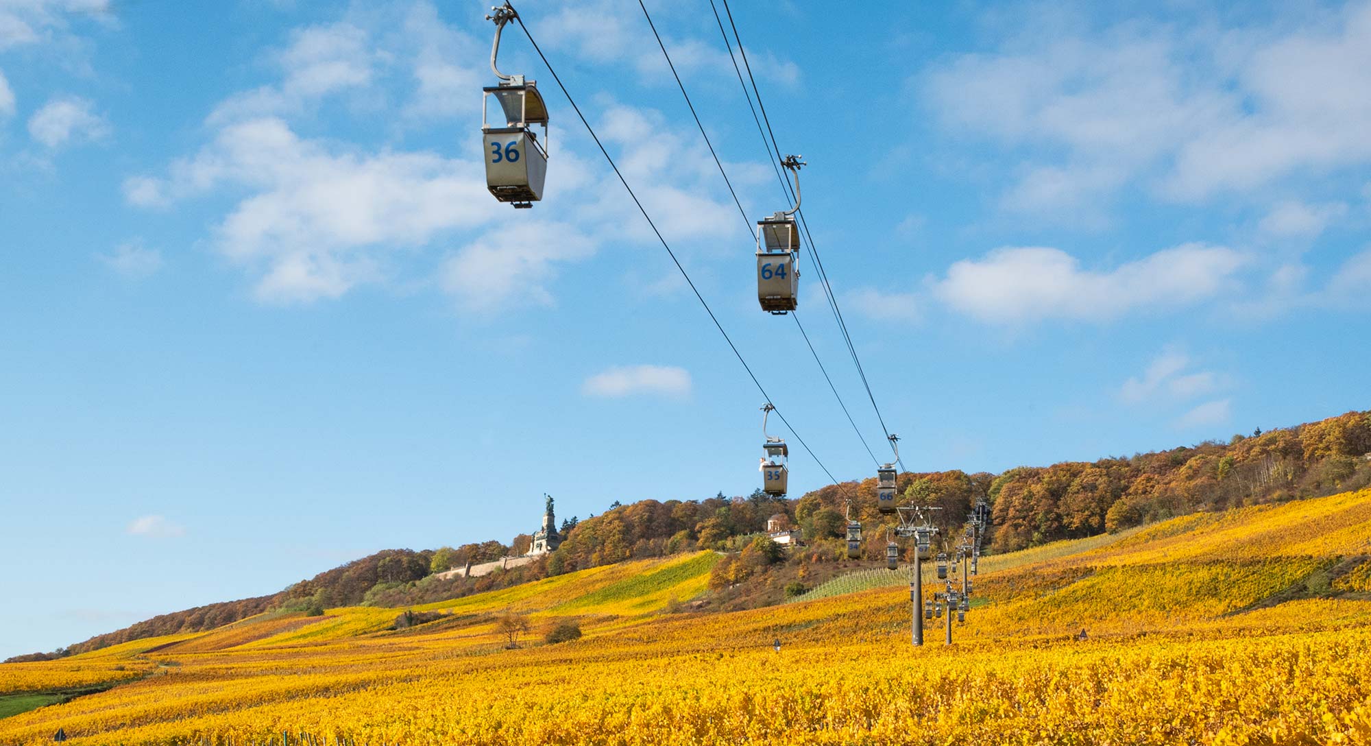 Die Seilbahn ber den Weinbergen zum Niederwalddenkmal in Rdesheim am Rhein