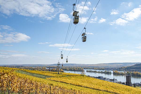 Die Seilbahn ber den Weinbergen in Rdesheim am Rhein