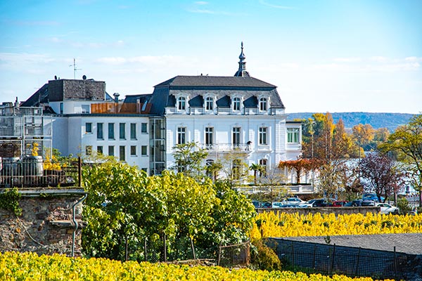 Villa Sturm - GERMENS Store in Rdesheim am Rhein Rheinstrae 5