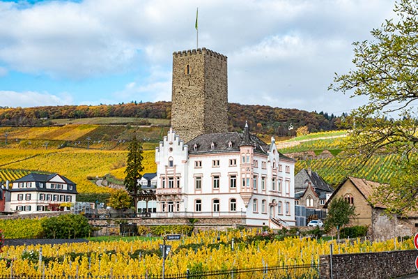 Weingut Carl Jung GmbH in Rdesheim am Rhein