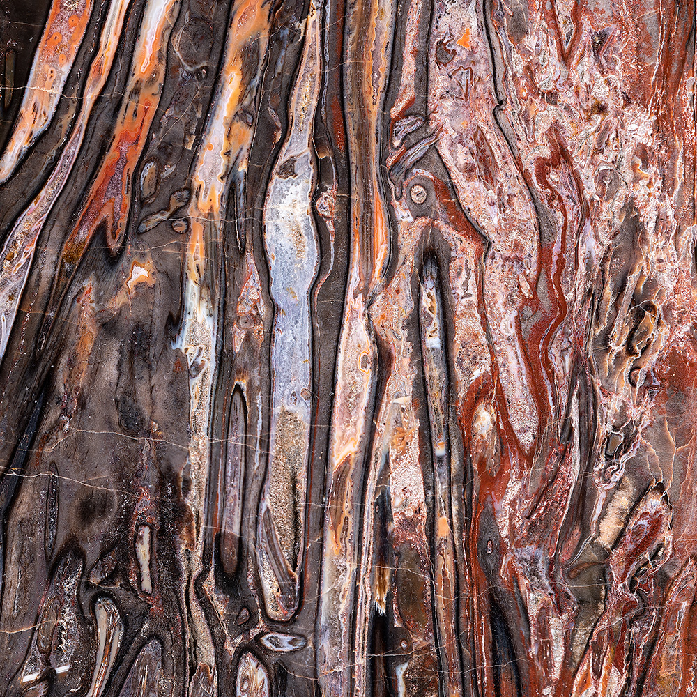 Detalle del diseño «BOSQUE PETRIFICADO DE CHEMNITZ 1» de GERMENS artfashion