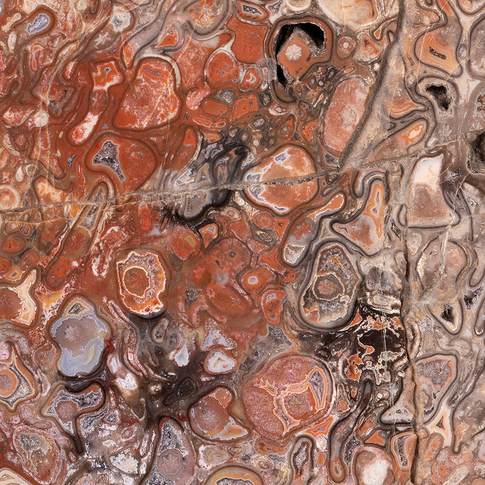 Detalle del diseño «BOSQUE PETRIFICADO DE CHEMNITZ 2» de GERMENS artfashion