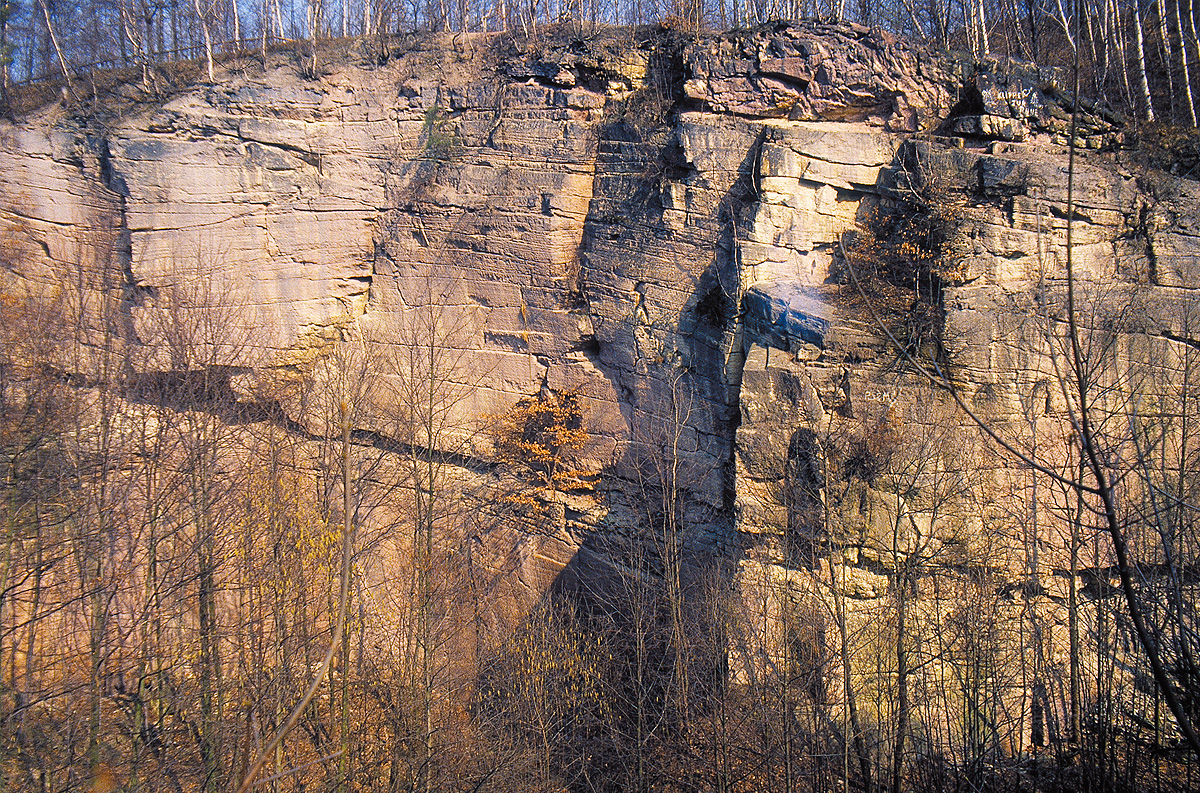 Heutiger Zustand des ehemaligen Steinbruchs im Zeisigwald Chemnitz © Museum für Naturkunde Chemnitz