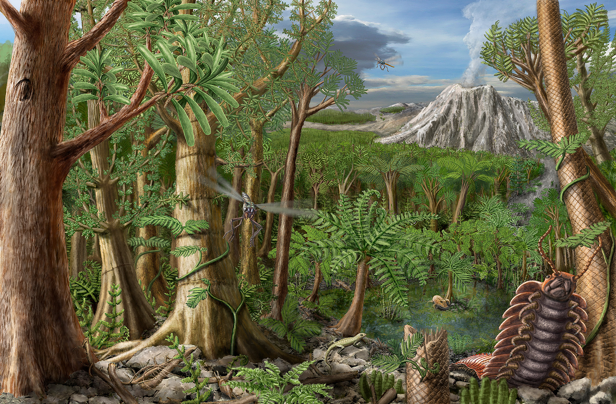 Illustration eines Waldes vor etwa 300 Millionen Jahren - © Illustration Stefan Schießl
