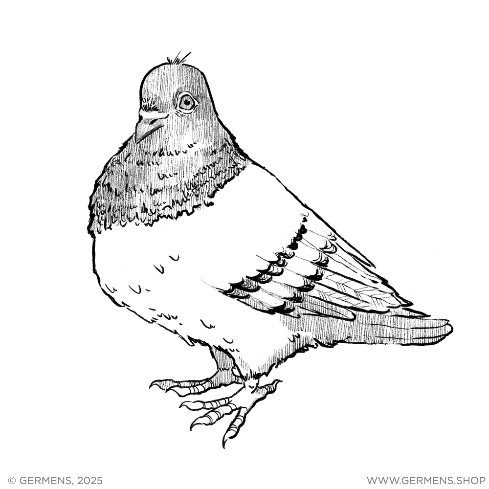 Las palomas de Dresde: símbolo de paz y libertad