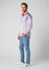Descubre las camisas de colores para hombre STRIPES - 100 % algodón