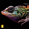 Hemden für Männer LIZARD 2 - Unikat Hemd - GERMENS ONE Collection - Dieses Hemd gibt es weltweit nur einmal - mit Zertifikat und Eindruck ihres Namens im Hemd - 100 % Baumwolle - Größe 6XL