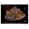 Ideas para regalos de Navidad: Calendario de minerales 2026 MUNDUS MINERALIS
