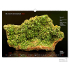 Ideas para regalos de Navidad: Calendario de minerales 2026 MUNDUS MINERALIS