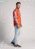Descubre las camisas de colores para hombre IGNIS AERI - 100 % algodón