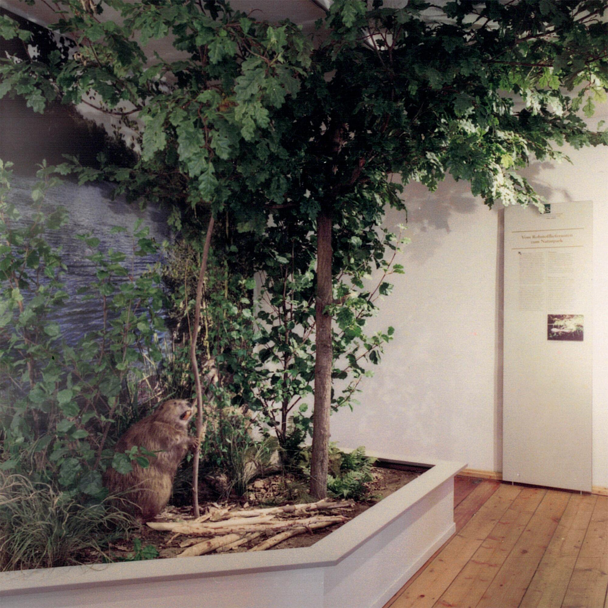 Ausstellung zur Stadtgeschichte im Landwirtschaftsmuseum der Dübener Heide Burg Düben