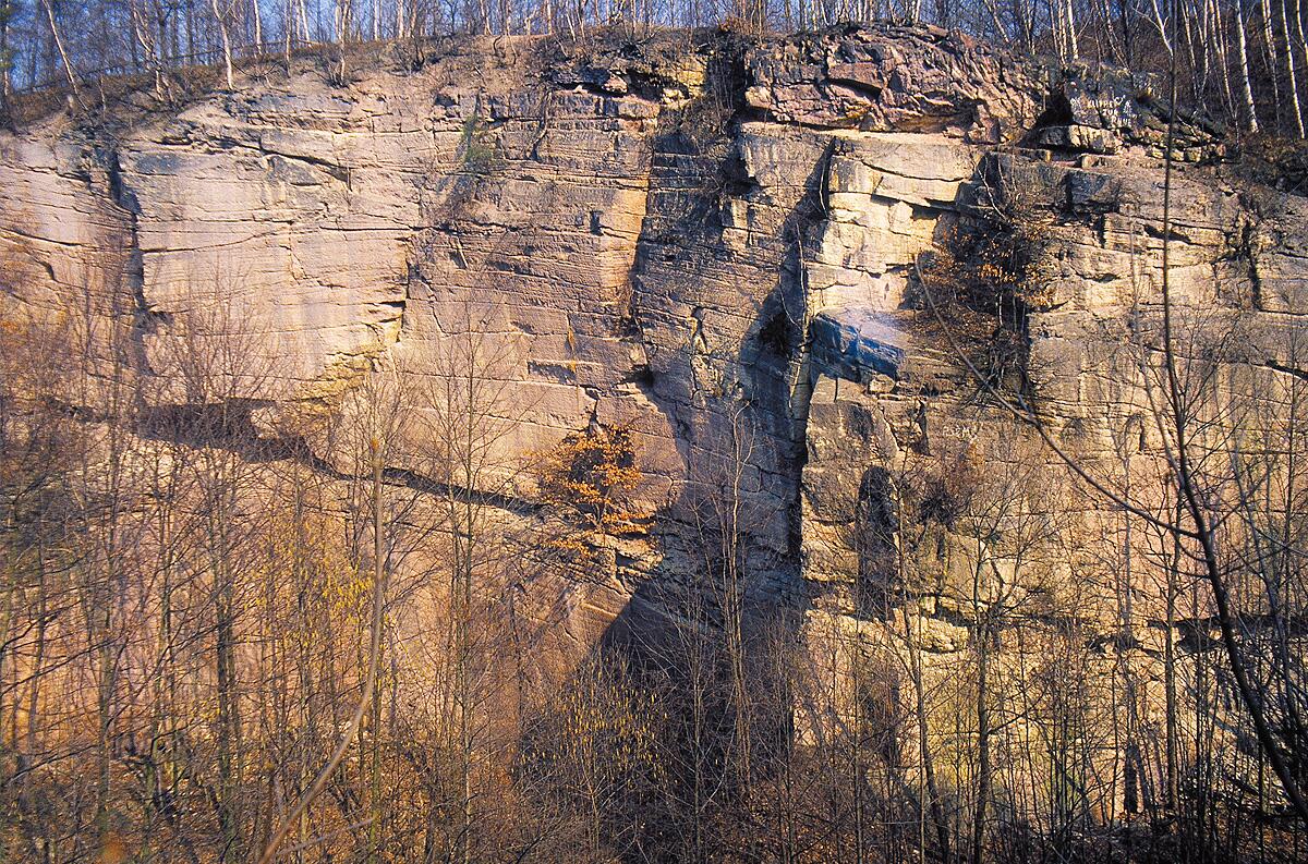 Heutiger Zustand des ehemaligen Steinbruchs im Zeisigwald Chemnitz © Museum für Naturkunde Chemnitz