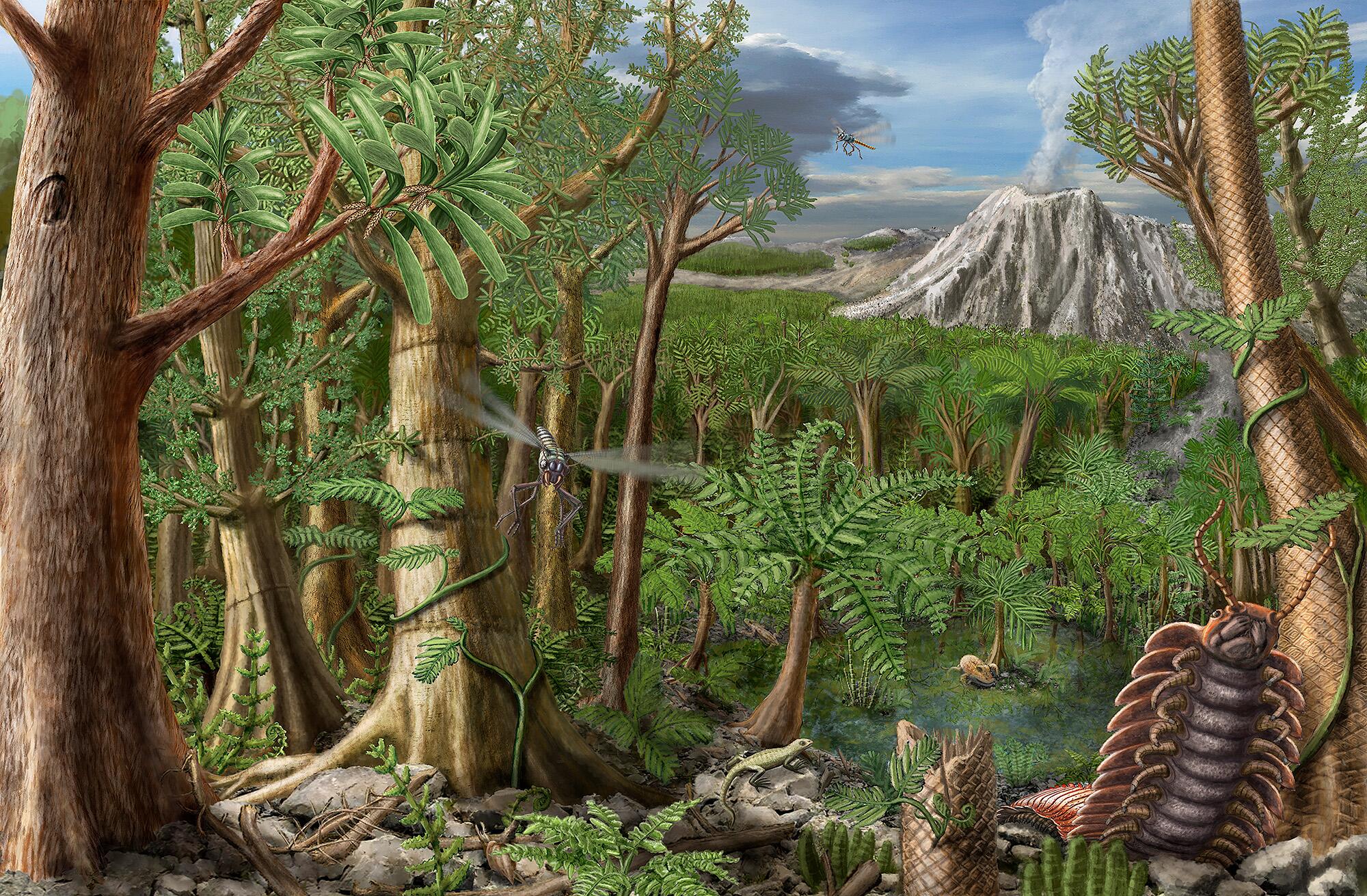 Illustration eines Waldes vor etwa 300 Millionen Jahren - © Illustration Stefan Schießl