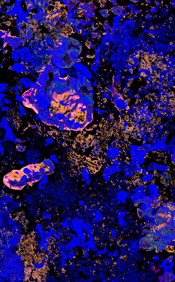 Detail des aktuellen Designs