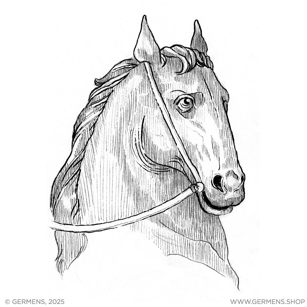 Der Goldene Reiter - Der Lipizzanerhengst
