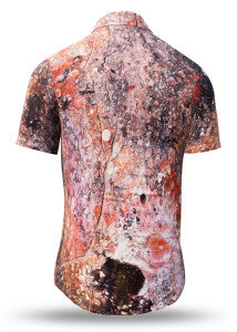 Summer shirt for men VERSTEINERTER WALD CHEMNITZ 2 - 100%...