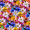 Entdecke bunte Hemden Herren FLOWER FRENZY - 100 % Baumwolle