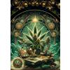 Hemden Herren MARY JANE von GERMENS