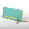 Turquoise glasses case for ladies MIAMI