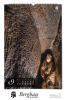 Weihnachtsgeschenk Bergbaukalender 2026 "Sächsischer Bergbau" - Erzgebirge Kalender